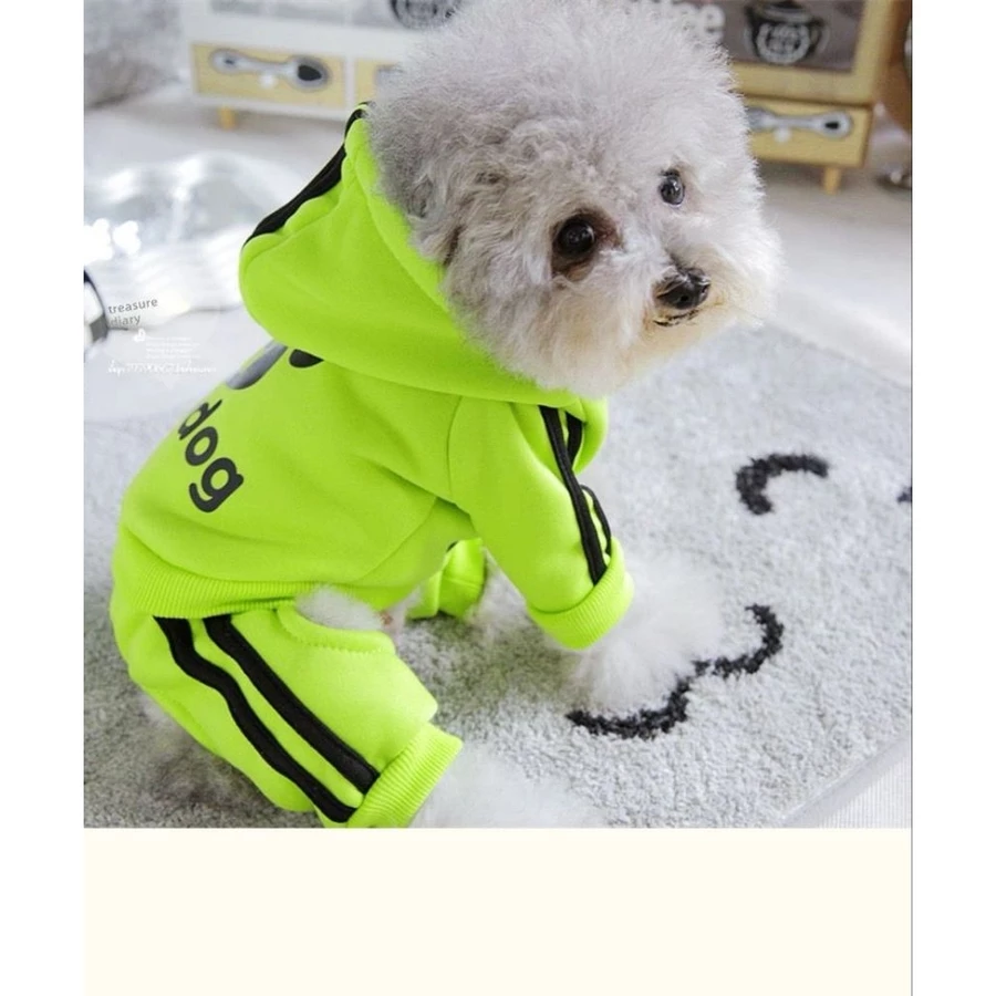 Jumpsuit anjing neon kekinian